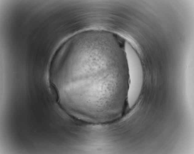 X0000088480896200706051358