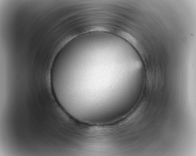 X0000088480898200706051358
