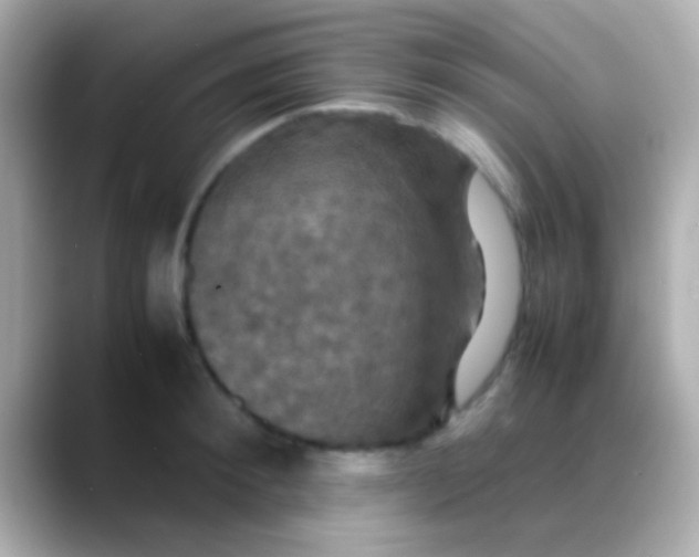 X0000088480900200706051358