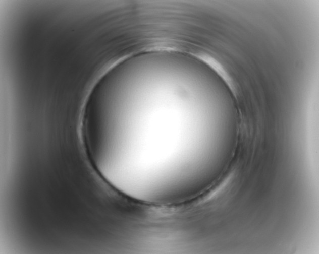 X0000088480901200706051358