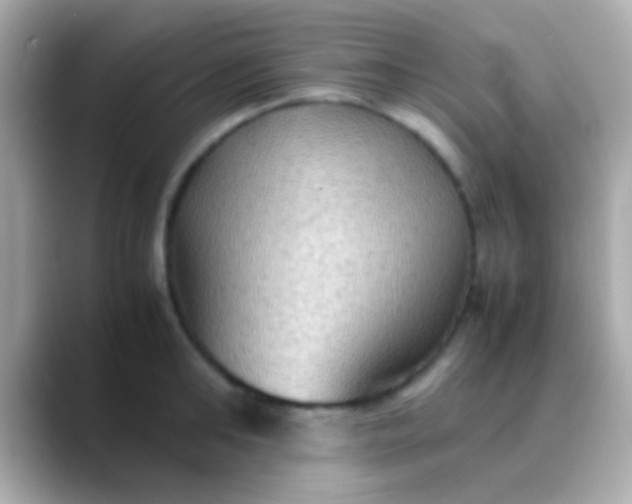 X0000088480902200706051358