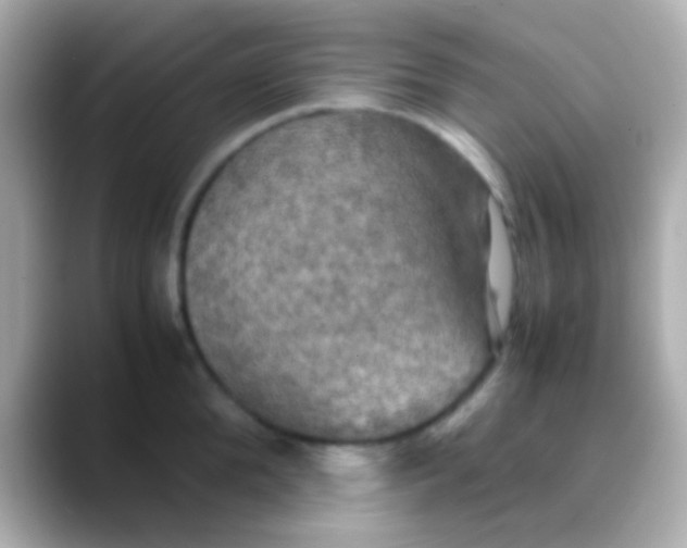 X0000088480904200706051358
