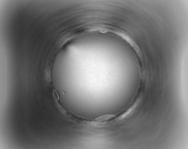 X0000088480905200706051358