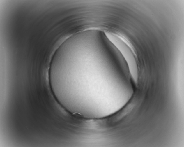 X0000088480906200706051358