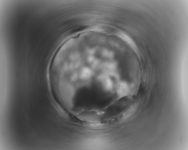 X0000088480907200706051358