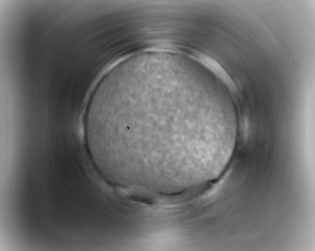 X0000088480908200706051358