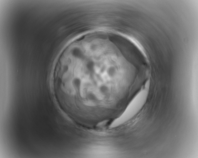 X0000088480911200706051358