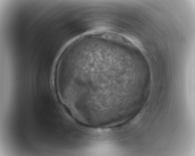 X0000088480912200706051358