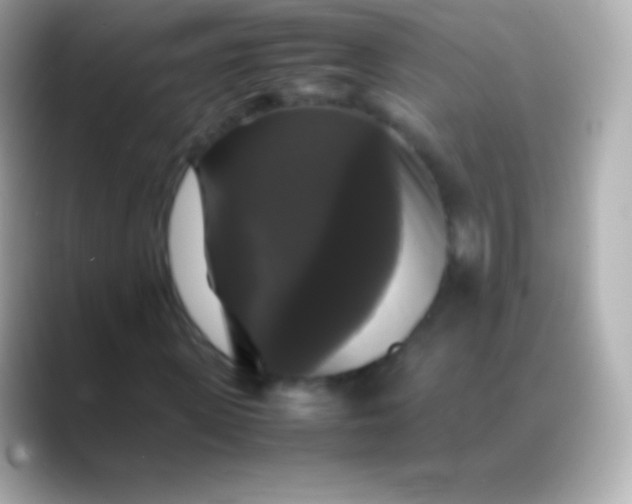 X0000088480915200706051357