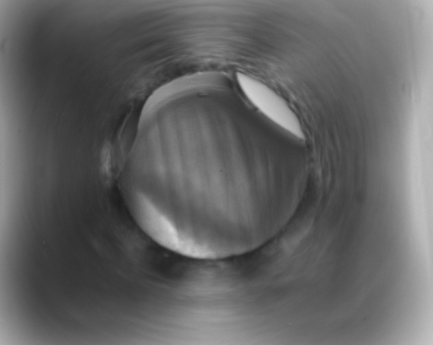 X0000088480916200706051357