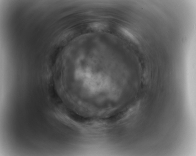 X0000088480917200706051357