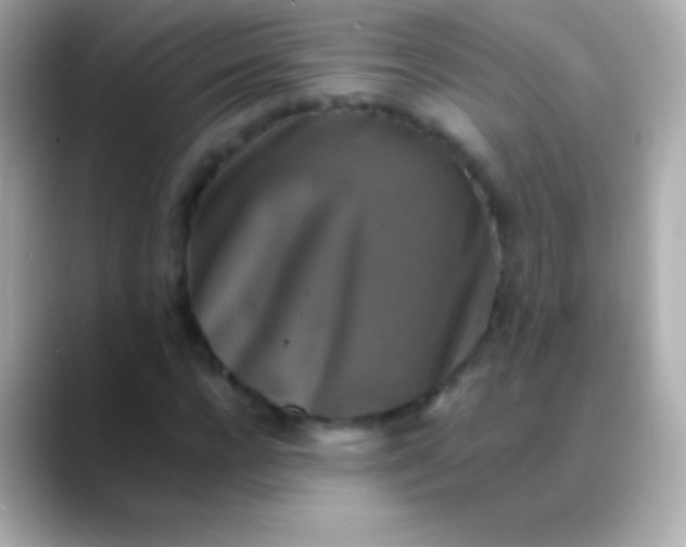 X0000088480920200706051357