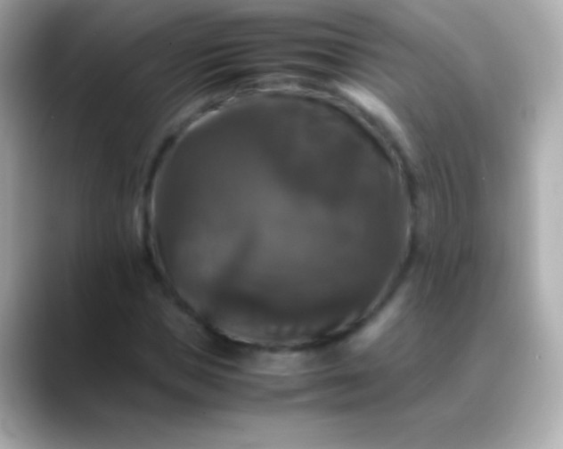 X0000088480921200706051357