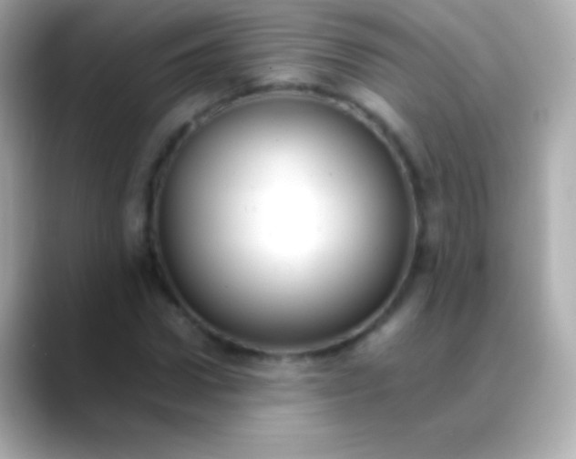 X0000088480922200706051357