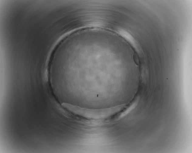 X0000088480924200706051358