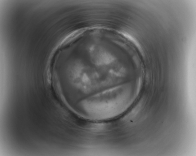 X0000088480925200706051358