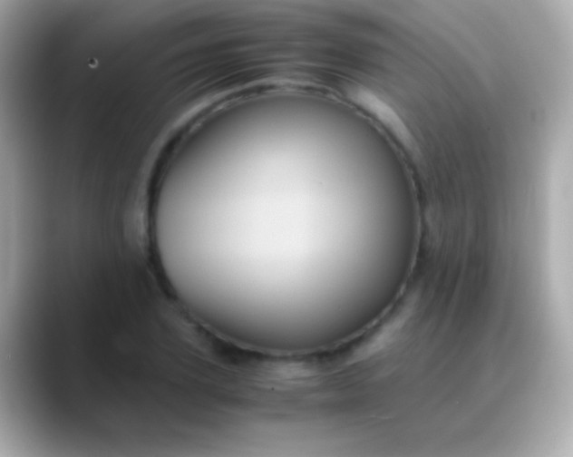 X0000088480931200706051358