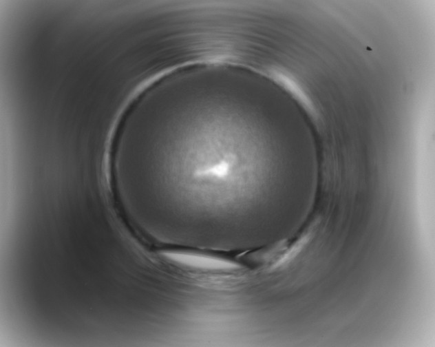 X0000088480932200706051358