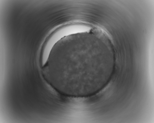 X0000088480934200706051358