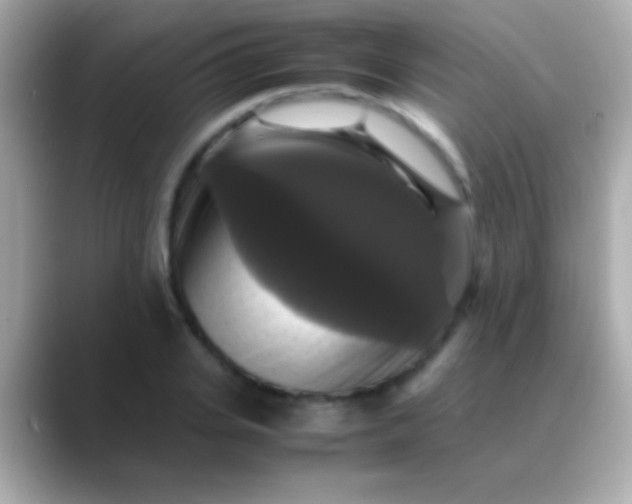 X0000088480935200706051358