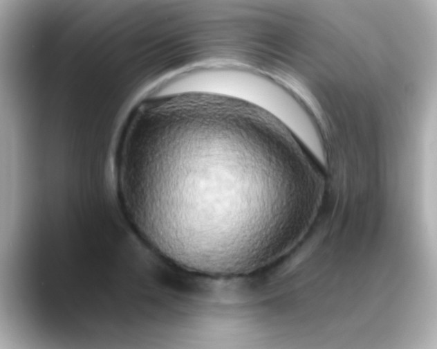 X0000088480936200706051358
