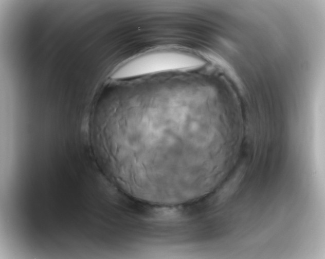 X0000088480937200706051358