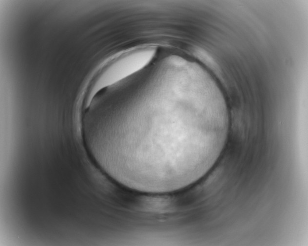 X0000088480939200706051358