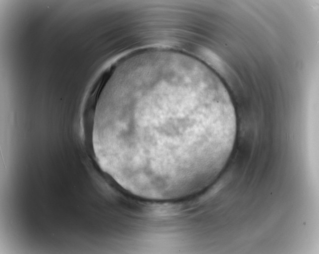 X0000088480940200706051358