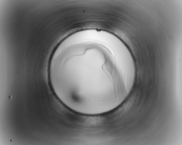 X0000088480941200706051358