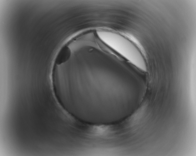 X0000088480943200706051358