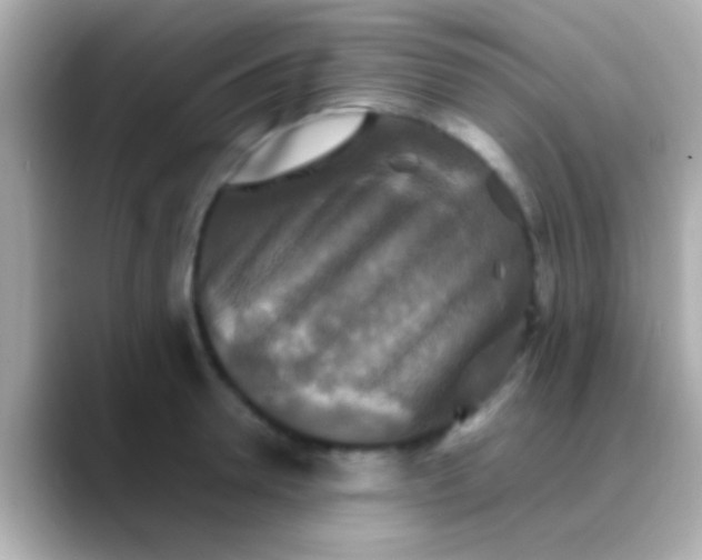 X0000088480946200706051358