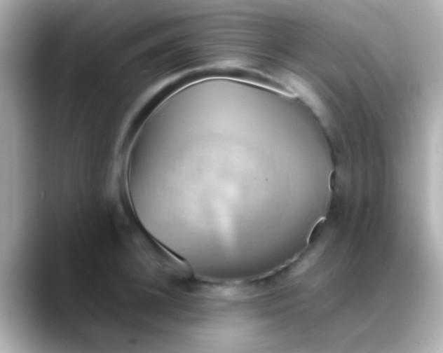 X0000088480948200706051358