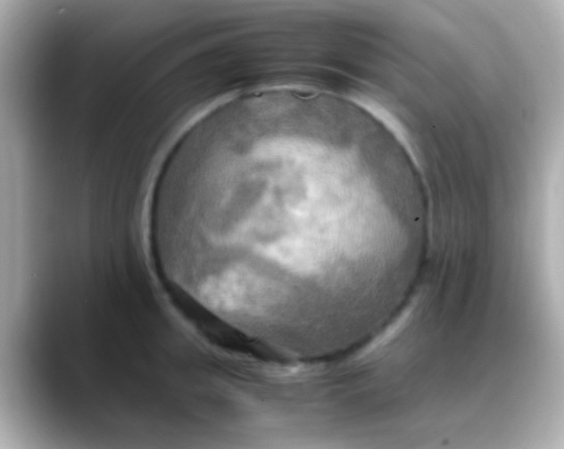 X0000088480949200706051358