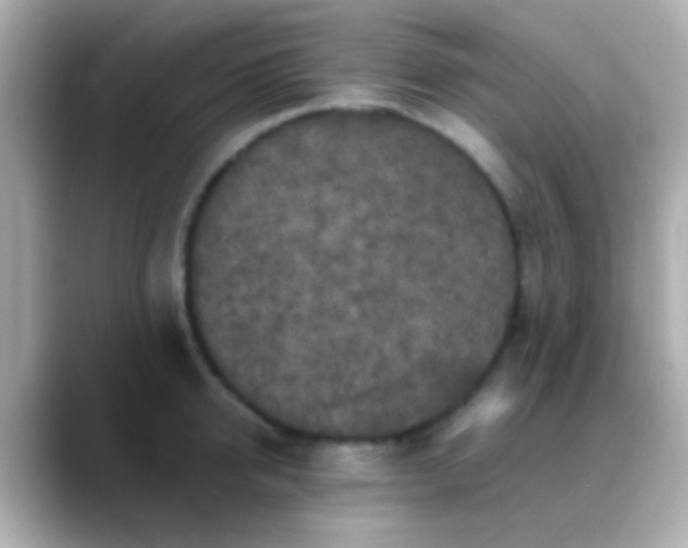 X0000088480950200706051358