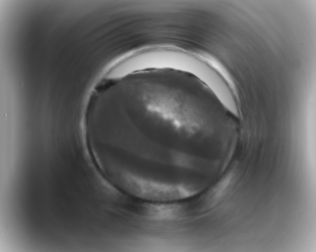 X0000088480951200706051358