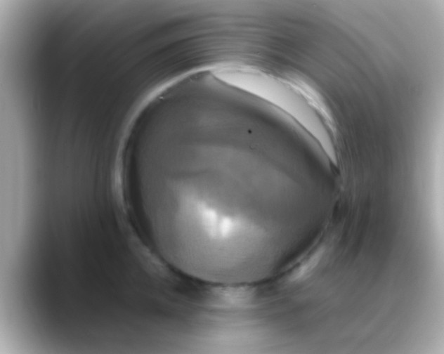 X0000088480952200706051358