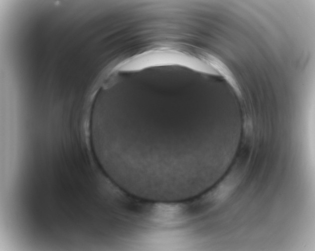 X0000088480954200706051358