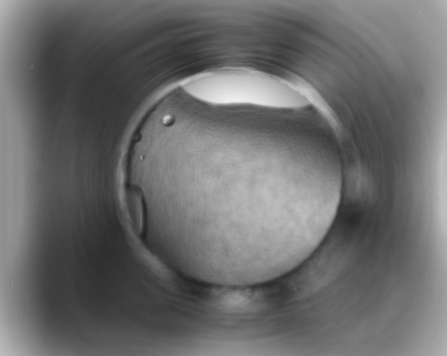 X0000088480955200706051358