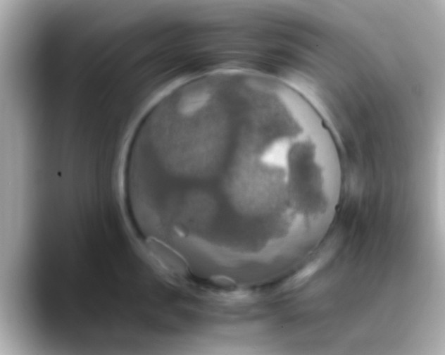 X0000088480957200706051358
