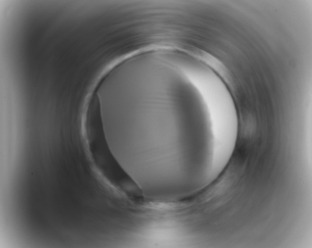 X0000088480958200706051358