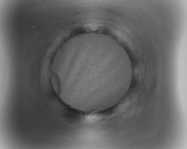 X0000088480961200706051357