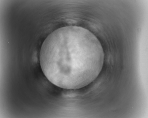 X0000088480962200706051357