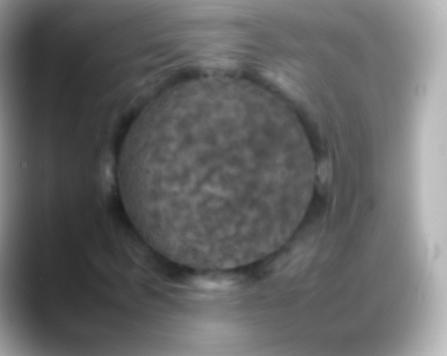 X0000088480963200706051357