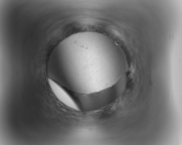 X0000088480965200706051357