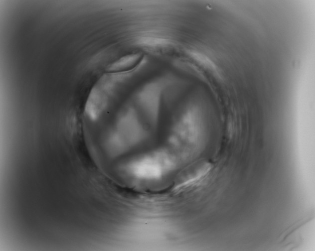 X0000088480966200706051357