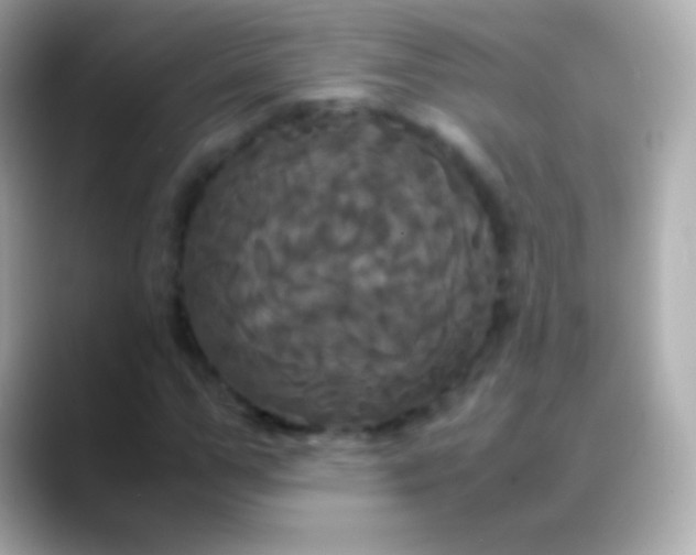 X0000088480967200706051357