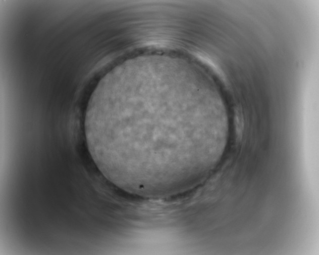 X0000088480968200706051357