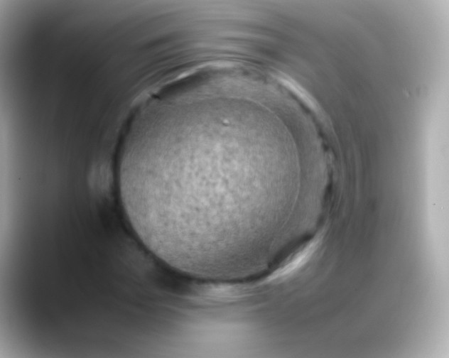 X0000088480969200706051357