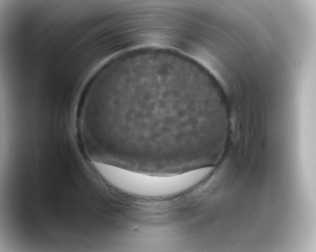 X0000088480972200706051357