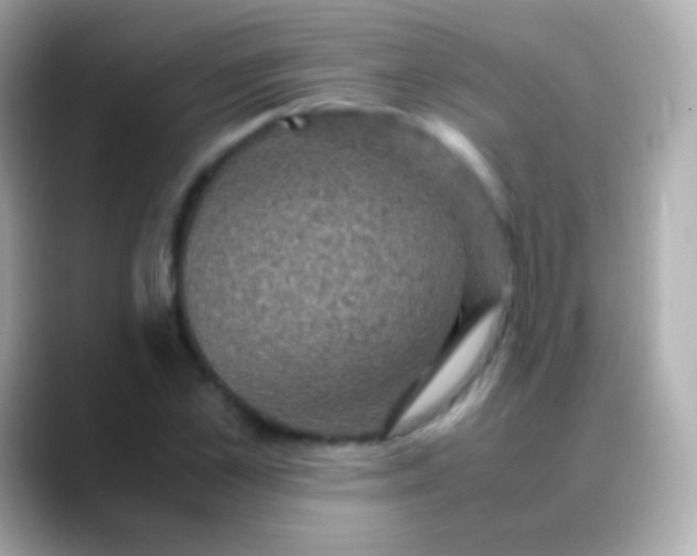 X0000088480973200706051357